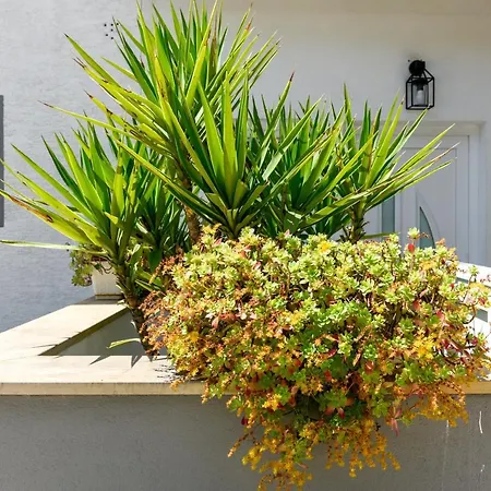 Διαμέρισμα Mare Ζαντάρ