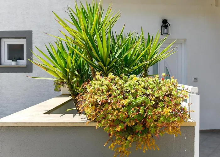 アパート Mare ザダル